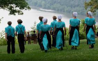 AI versus sebezáchovné pudy, Amišové nám je připomínají stále více