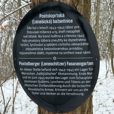 Pochod Postoloprty 3.6.2026 5.ročník: Skvělé vystoupení zakladatele Petra Zemánka okomentoval arcibiskup Stanislav Přibyl: „Máme se za co modlit – Postoj lze vyjádřit i krokem…“