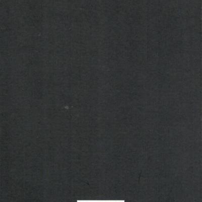 Vlasta Král komiků revers