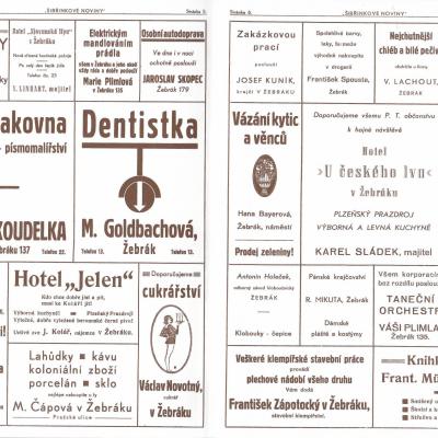 Žebrák Procházka firmy II